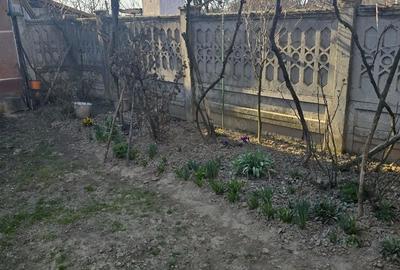 Casă cu 3 camere cu Teren 1800 Mp în Drăgoiești - 2