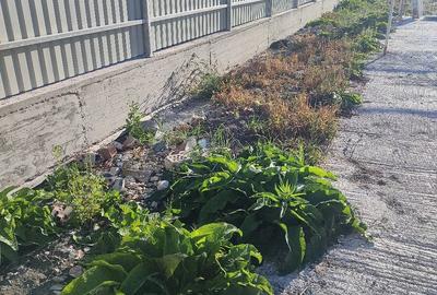 Teren de 1077 mp, în Sânpetru
