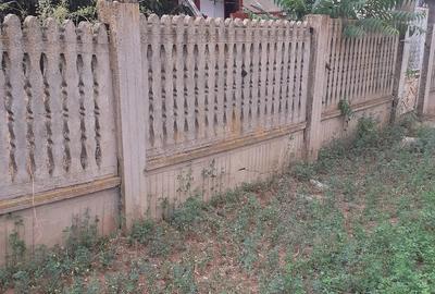 Casă cu Teren 2300 Mp în Calopăr