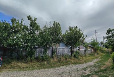Casă cu 3 camere cu Teren 3600 Mp în Lunca
