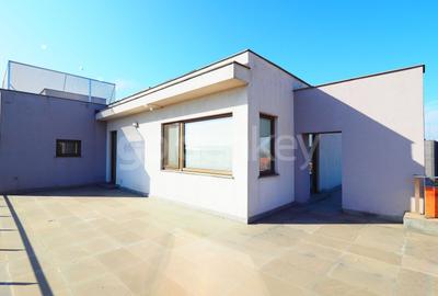 Apartament cu 3 camere semidecomandat, mobilat în Kiseleff - 20