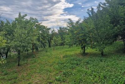 Teren Construcții intravilan de 1400 mp, în Albota - 2