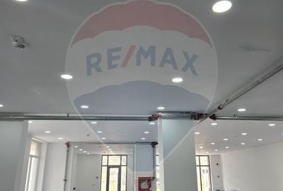 Spațiu comercial, de 400 mp, în Vitan - 8