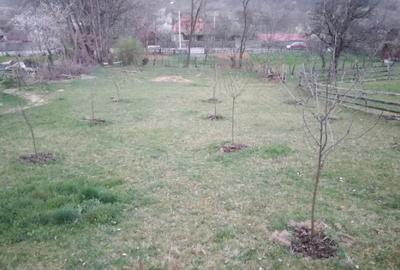 Teren de 1474 mp, în Sălciua - 6