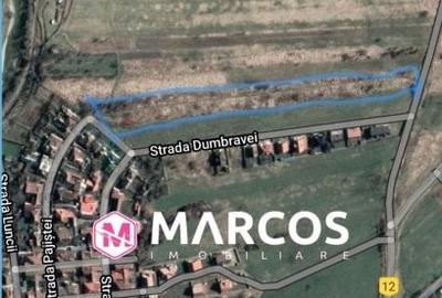 Teren Construcții intravilan de 10000 mp, în Caransebeș - 1