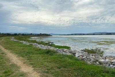 Teren agricol extravilan de 2950 mp, în Măcești - 3