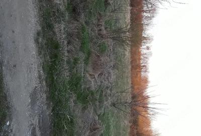 Teren de 3200 mp, în Cocu