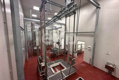 Teren Construcții intravilan de 105000 mp, în Crânguri - 6