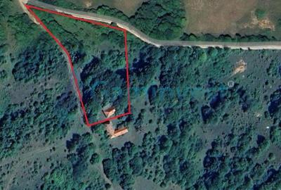Casă individuală cu 2 camere cu Teren 8000 Mp în Tomnatic - 1