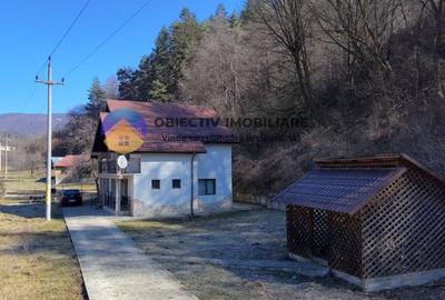 Casă individuală cu 4 camere cu Teren 1227 Mp în Pângărăcior - 3