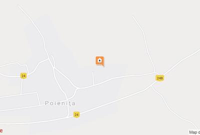 Teren extravilan de 500000 mp, în Livezeni