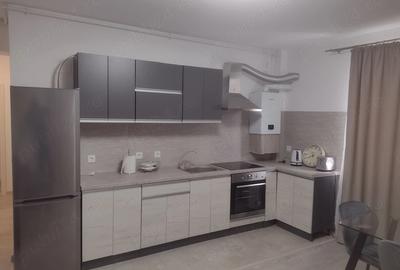 Apartament cu 2 camere decomandat în Turnișor - 2