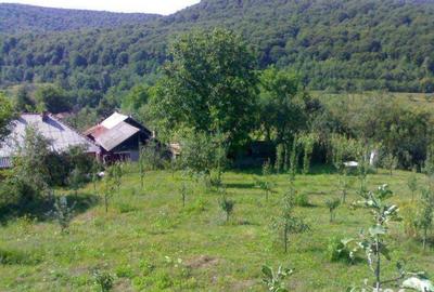 Teren de 4000 mp, în Tutana - 2