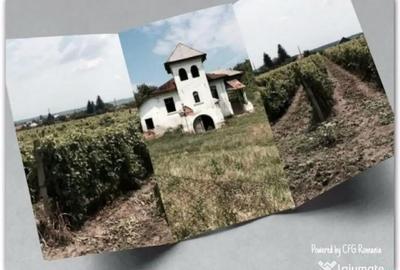 Teren de 53000 mp, în Central - 2