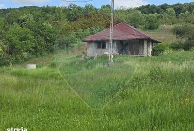Casă cu 3 camere cu Teren 4234 Mp în Adămuș - 13