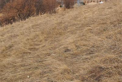 Teren de 4100 mp, în Sălicea - 4