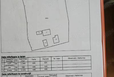Casă cu Teren 3200 Mp în Grecești