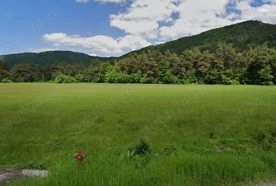 Teren de 800 mp, în Brădet - 4