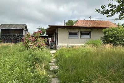 Casă cu Teren 2650 Mp în Nemoiu - 4