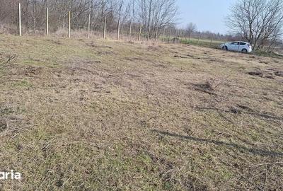 Teren de 750 mp, în Brănești - 3