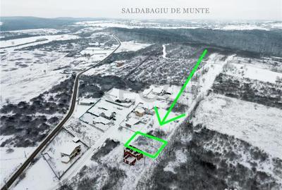 Teren de 542 mp, în Paleu - 5