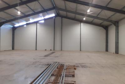 Spațiu industrial, de 594 mp, în 23 August (Cațelul)