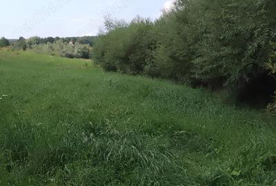 Teren de 4400 mp, în Mitocu Dragomirnei - 5