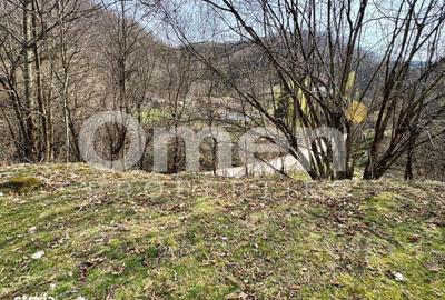 Teren de 637 mp, în Tăuții-Măgherăuș - 5