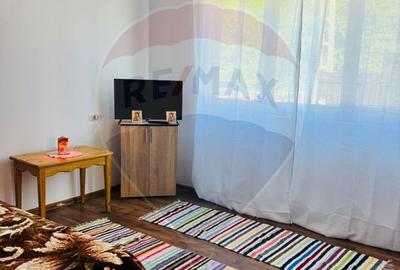 Casă individuală cu 5 camere cu Canalizare în Săcel - 8