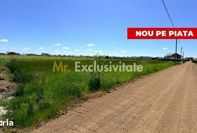 Teren de 500 mp, în Bradu