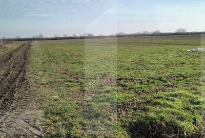 Teren de 7500 mp, în Rahova