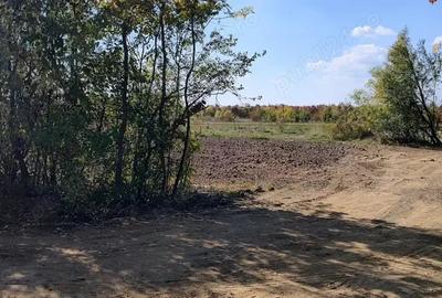 Teren de 3050 mp, în Ordoreanu - 4