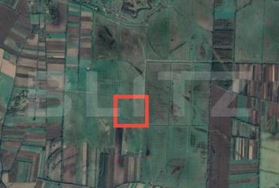 Teren de 133728 mp, în Central - 1