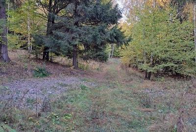Teren de 2000 mp, în Băile Chirui - 2