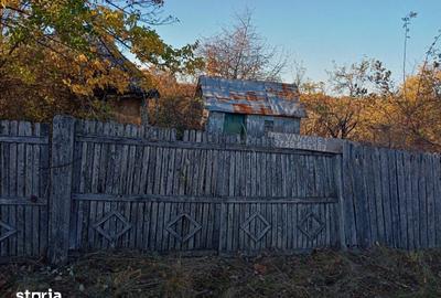 Teren de 5296 mp, în Cuca - 9