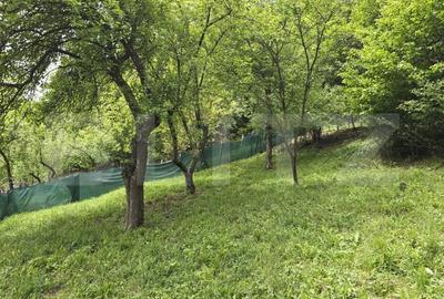 Casă individuală cu 2 camere cu Teren 830 Mp în Ciucea - 4
