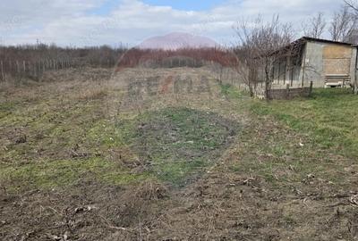 Casă cu 4 camere cu Teren 614 Mp în Stânca (Ștefănești) - 3