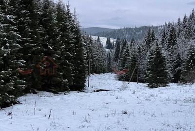 Teren Construcții intravilan de 938 mp, în Poiana Horea - 3