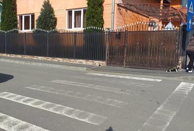 Casă cu 4 camere în Central - 2