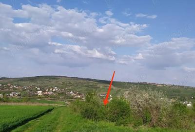 Teren de 3000 mp, în Șorogari - 1