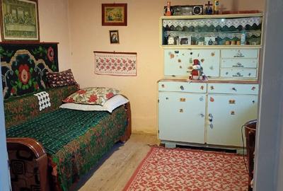 Casă cu 3 camere cu Teren 1827 Mp în Micăsasa - 1