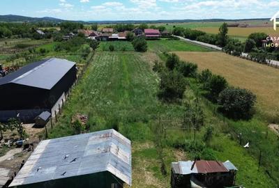Casă cu Teren 2800 Mp în Săceni - 2