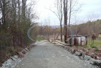 Teren de 980 mp, în Ciurila