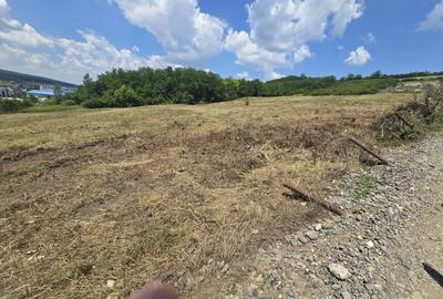 Teren Construcții intravilan de 16476 mp, în Corunca - 9