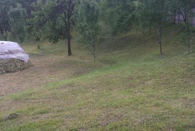 Teren de 1000 mp, în Măneciu