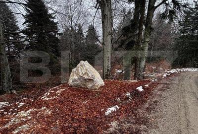 Teren de 4000 mp, în Sinaia