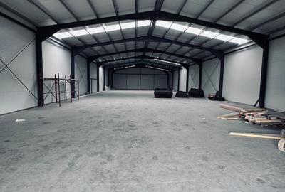 Spațiu comercial, de 596 mp, în Dumbrăvița