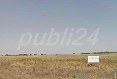 Teren de 103000 mp, în Central - 5