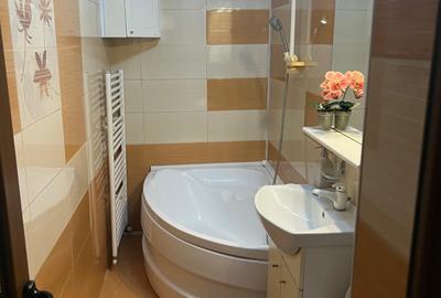 Apartament cu 2 camere decomandat în Bistrița Lac - 8