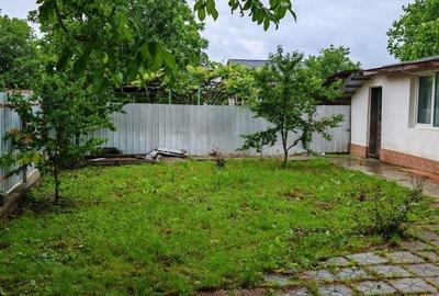 Casă cu 3 camere în Vișan